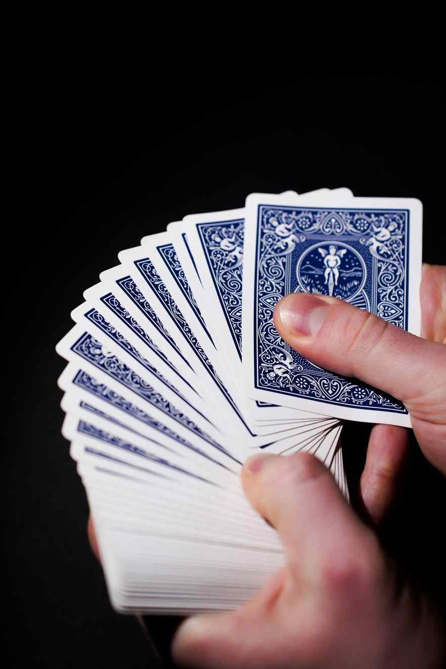 https://wildtokyo-casino.org/