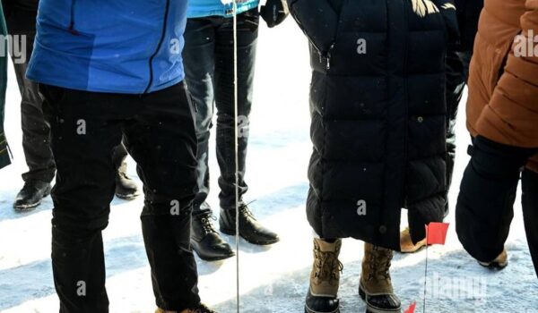 Ein Blick auf das Eiskartenspiel – Eine Online-Erfahrung für Jeden